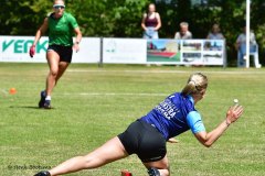 moarre17-hb