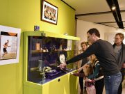 Prijzen Taeke Triemstra te bekijken in Keatsmuseum