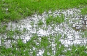 Wedstrijden op Koningsdag in Holwert en Jorwert afgelast