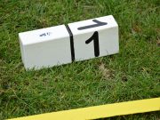 De uitslagen van 31 mei, 1 juni en 2 juni 2024