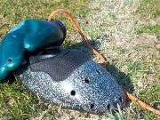 Demonstratie nieuwe kaatswant op 23 april