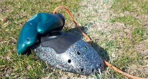 Demonstratie nieuwe kaatswant op 23 april