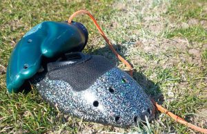 Demonstratie nieuwe kaatswant op 23 april